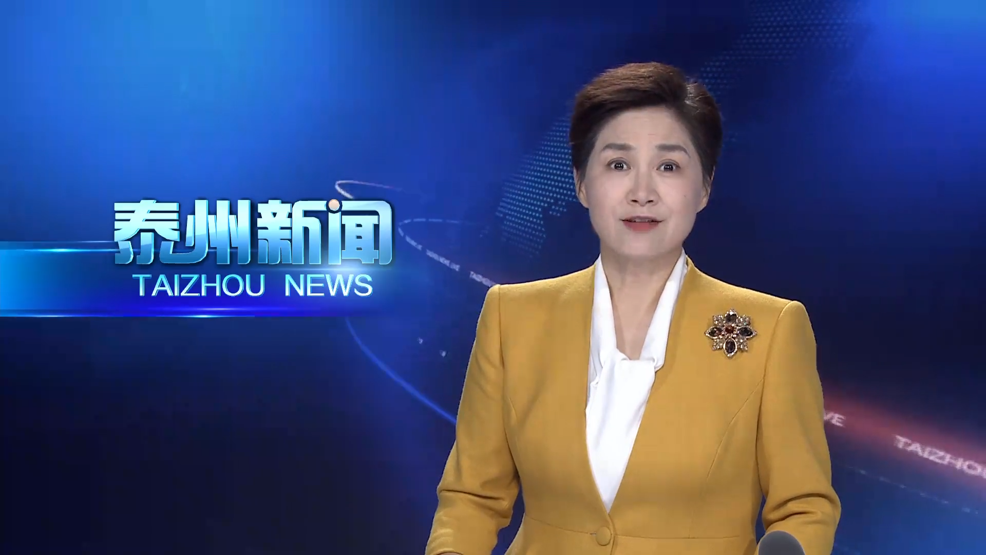 市委党的建设工作领导小组召开会议
